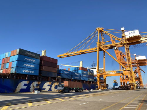 新華社聚焦 溫州 高水平開放助推高質量發展